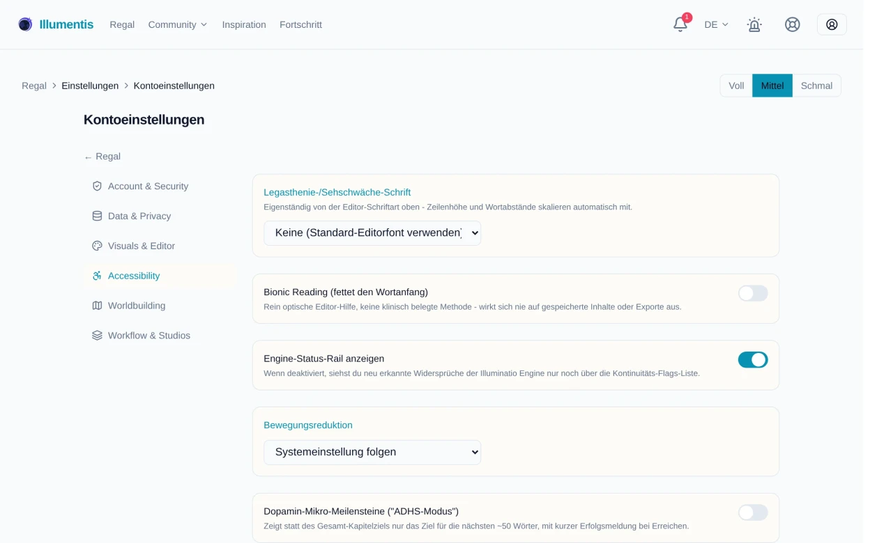 Der Bereich Accessibility mit den Einstellungen